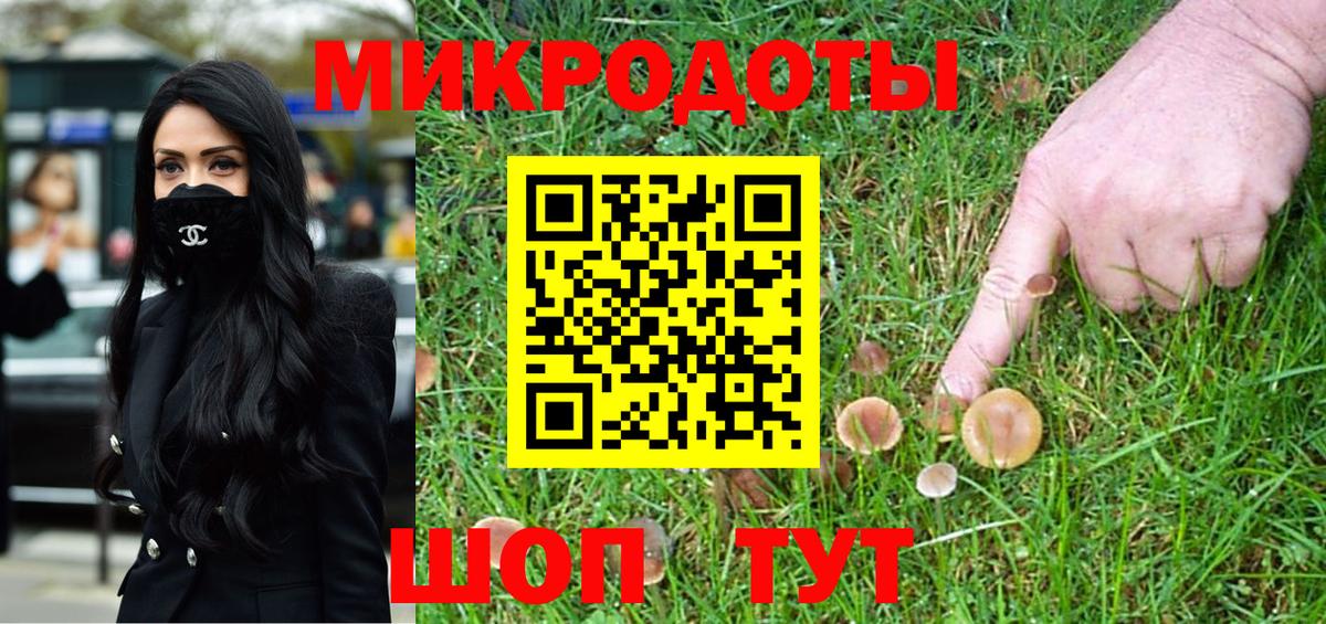 Псилоцибиновые грибы GOLDEN TEACHER  Вход с VPN  сколько стоит  Михайловск 