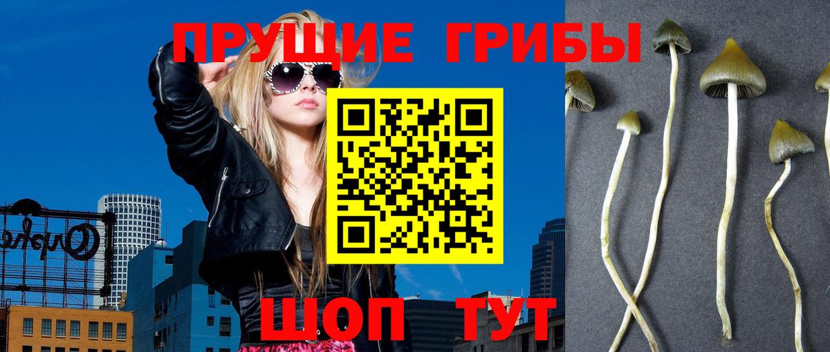 Галлюциногенные грибы мицелий Михайловск